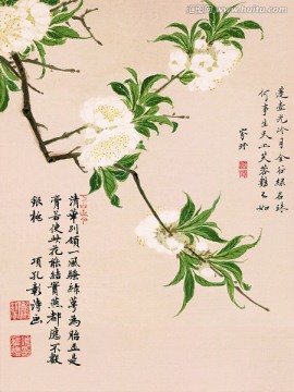 历代名画 花鸟国画（未分层）