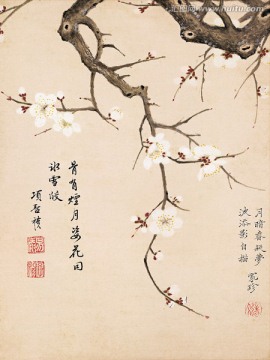 历代名画 花鸟国画（未分层）