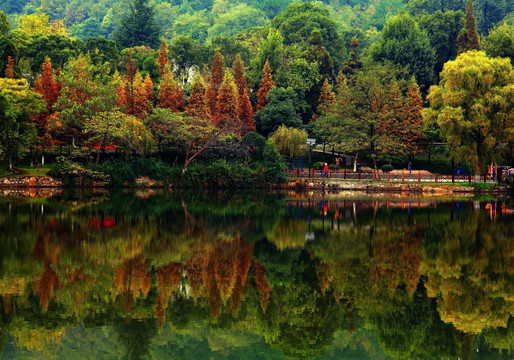 活色秋香观山湖