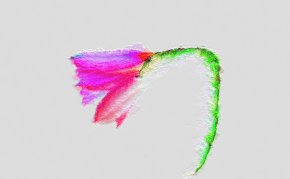 花卉裝飾畫