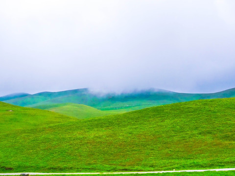 大海草山