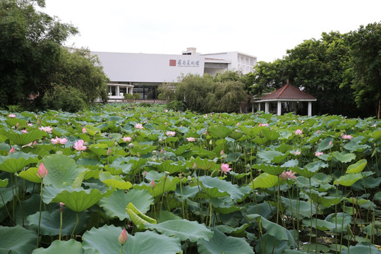 东莞岭南美术馆