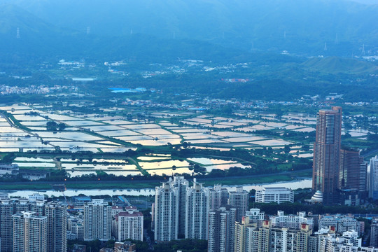 深圳和香港交界