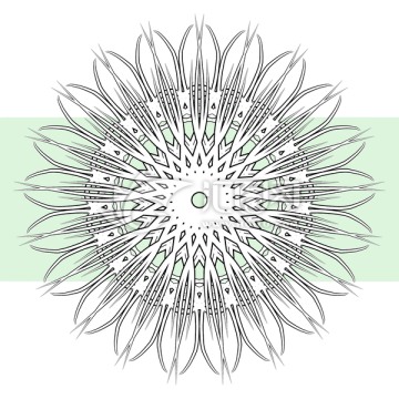 花紋底紋