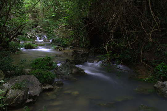 森林溪水