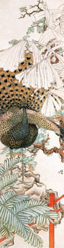 任預(yù)花鳥圖