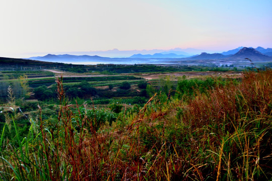 原野远山