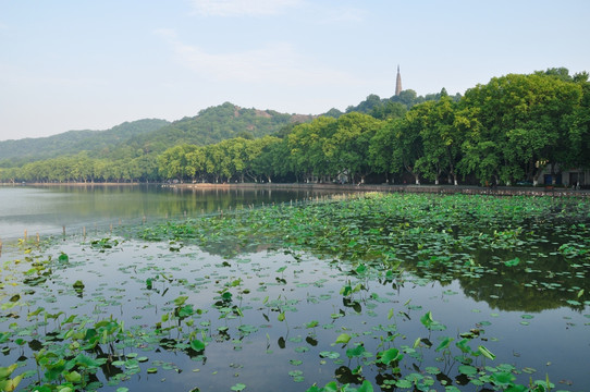 杭州西湖风光