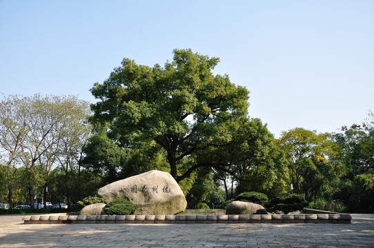 杭州花圃