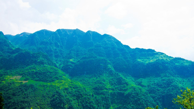 青山 大山