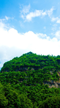 大山 青山