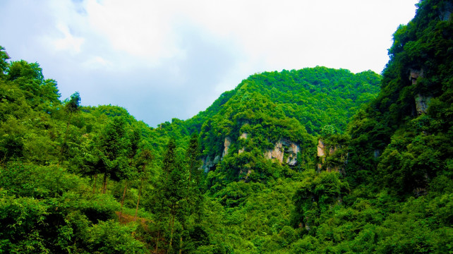 山谷 青山