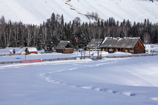 喀纳斯 阿勒泰山区 禾木雪景