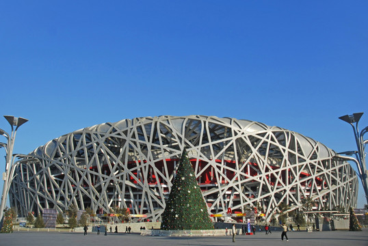 北京鸟巢 圣诞树