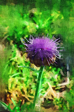 電腦油畫(huà) 山花
