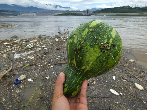 大坝三峡垃圾