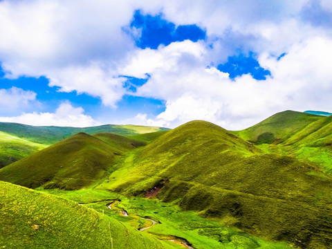 高山牧场