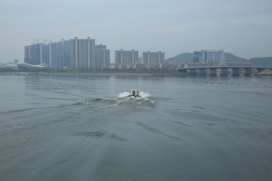 水上游艇 快艇 城市