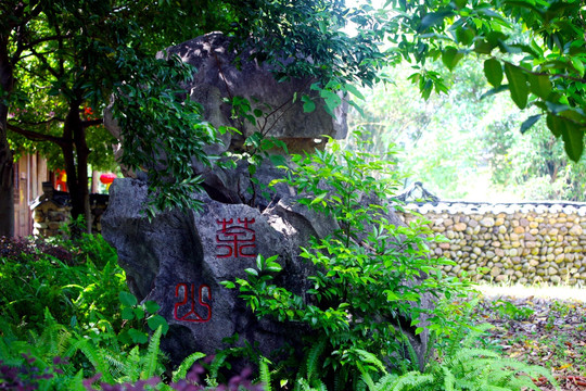 茶山 奇石 花园