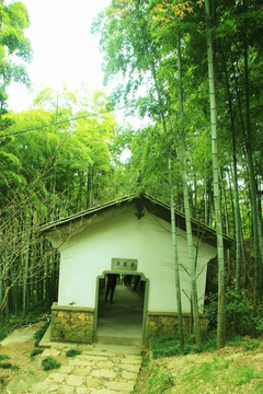 竹林小屋 竹林