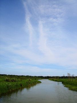 南沙湿地公园