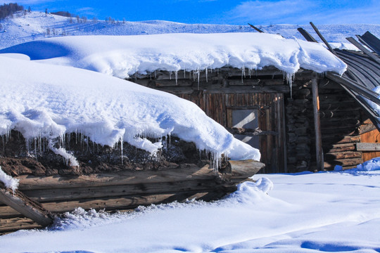 喀纳斯 阿勒泰山区 禾木雪景