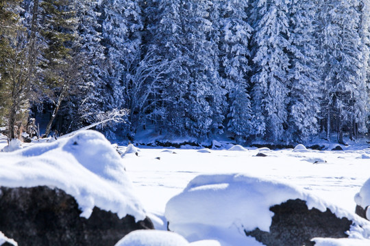 喀纳斯阿勒泰山区禾木雪景