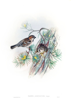 花鳥裝飾畫（合層）
