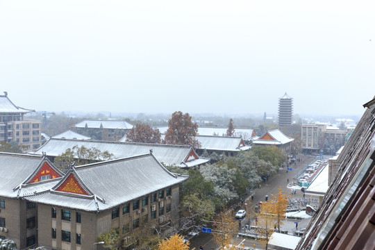 北京大学校园风光教学楼群博雅塔