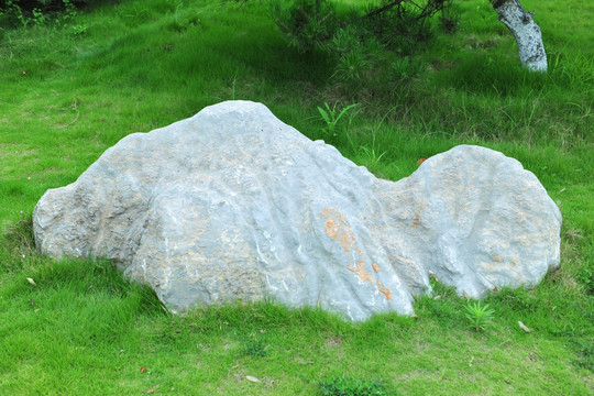 石头  园林石  景观石