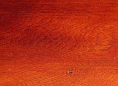 木板纹理 红豆杉