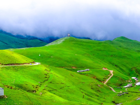 高山牧场