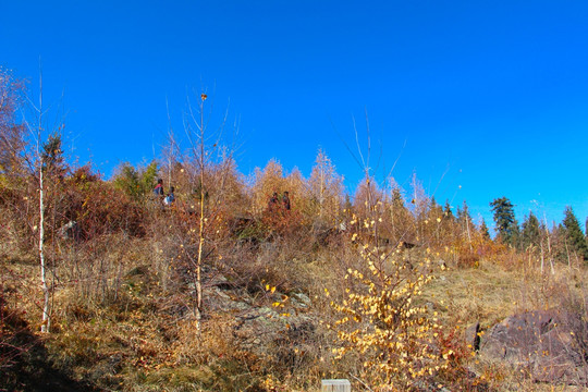 天山天池