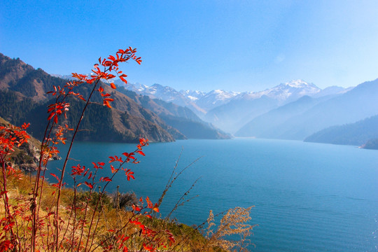 天山风景