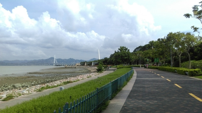 深圳红树林海滨公园