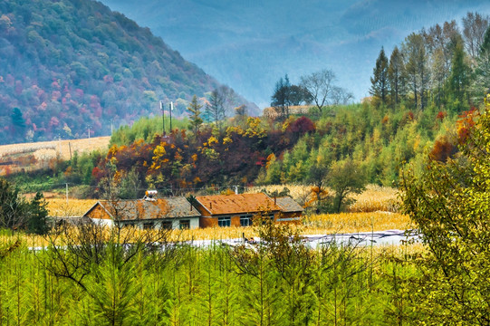 大山深处的人家