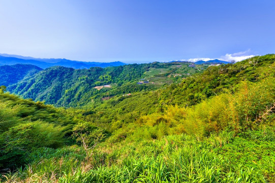 阿里山 台湾风光