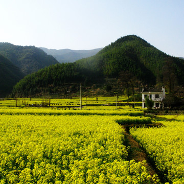 路 回家