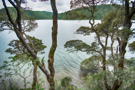 山水风光