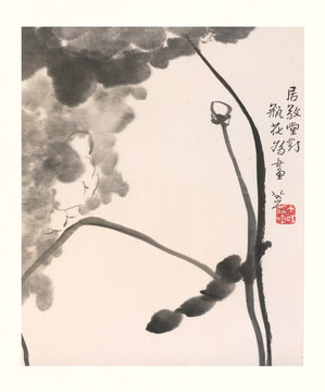 朱耷國畫 國畫花鳥（合層）