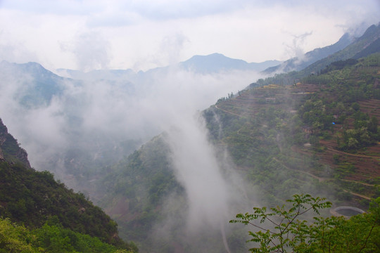 烟雨中的太行山谷