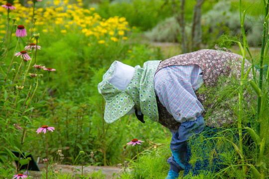 植物园 花农