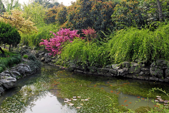 江南传统园林 池塘水景