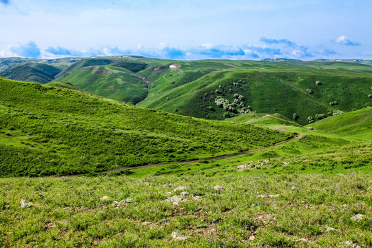 天山山脉山地草原