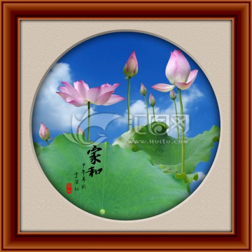 荷花 裝飾畫(huà)