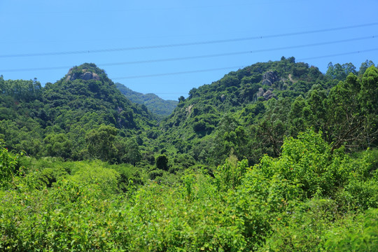 厦门 集美 龙公龙母双岭