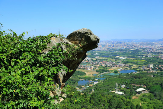 厦门 集美 双岭 灵龟岩 全景