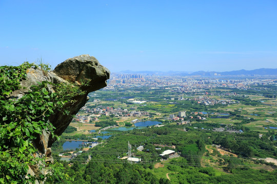 厦门 集美 双岭 灵龟岩