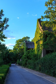 北京大学校园风光静园燕京六院