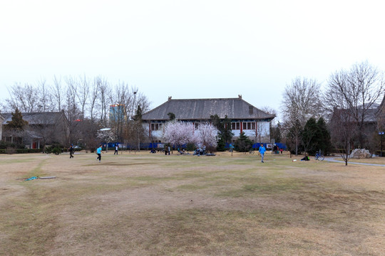 北大校园风光静园草坪燕京六院